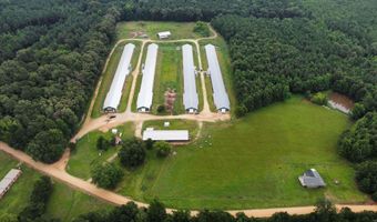 1613 N Bradley 8 Rd, Banks, AR 71631