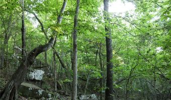 Whiskey Creek Lane, Batesville, AR 72501