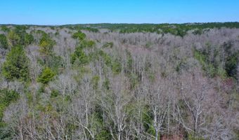 0 Tervin Mill Rd, Andalusia, AL 36421