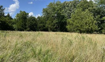 6609 County Road O-535, Ava, MO 65608