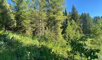 400 GROVER DRY FARM Rd, Afton, WY 83110