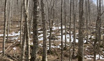 0 TBD Elleber Sods Rd, Bartow, WV 24920