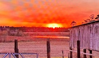 17387 Head Farm Rd, Andalusia, AL 36420