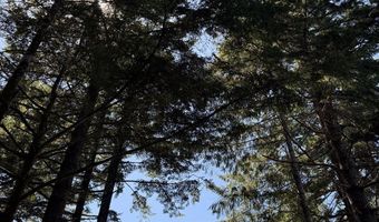 96104 CAPE FERRELO Rd, Brookings, OR 97415