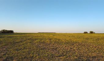 5428 CR 364, Anson, TX 79501