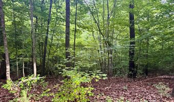 12 Acres Horton Dr, Abbeville, SC 29620