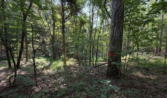 0 County Road 217, Blue Springs, MS 38828