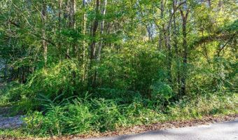 Barnes Rd, Andrews, SC 29510