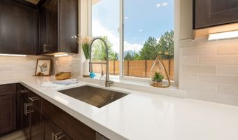 692 Sage Grouse Loop, Gardnerville, NV 89460