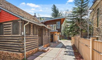 308 Park Ave, Aspen, CO 81611