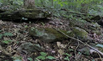 TBD Paint Fork Rd, Barnardsville, NC 28709