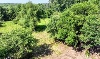 Vl 24 Mile Rd Lot # WP001, Albion, MI 49224