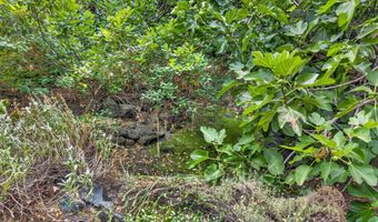 740 Park St, Ashland, OR 97520