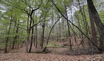 Ridge Road lot E, Appling, GA 30802