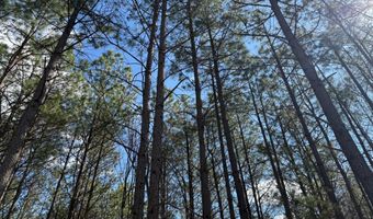 MOUNTAIN CUT RD lot A, Appomattox, VA 24522