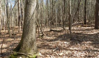 Tbd Oakland Avenue, Asheboro, NC 27205