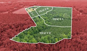 5750 Cobbham Road Lot Tract D, Appling, GA 30802
