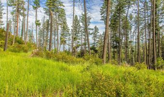338 Flathead Lodge Rd, Bigfork, MT 59911