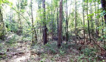 330 County Road 245, Abbeville, MS 38601