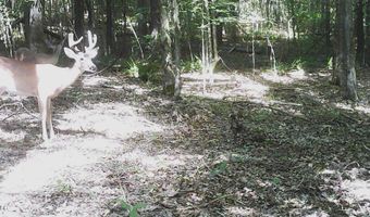 590 247 Country Rd, Bruce, MS 38915