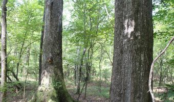 NE Greenhill Trail, Brookhaven, MS 39601