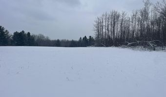 9606 MUNGER Rd, Afton, MI 49705