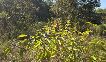 N80 Helt Rd, Antlers, OK 74525