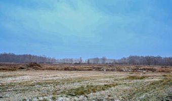 1991 N Concord Rd, Albion, MI 49224