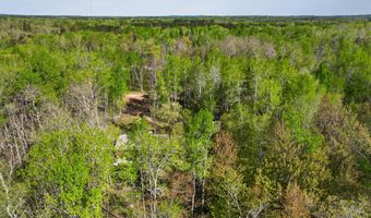 29297 Gateway Ln, Akeley, MN 56433