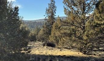 Canvasback Drive, Bonanza, OR 97623