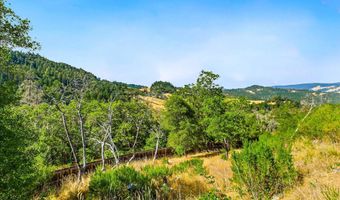 1991 Steelhead Rd, Alderpoint, CA 95511