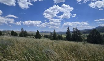 Lot10 Caribou NF Rd 36, Bancroft, ID 83217