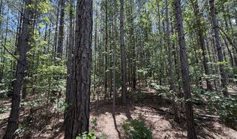 0 Five Notch Rd, Bradley, SC 29848