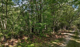 Chamberlain Road 11, Alton, NH 03809