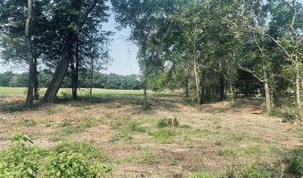 Lot 6 TBD County Road 1560, Alba, TX 75410
