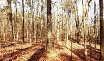 504 247 Country Rd, Bruce, MS 38915