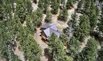 14 Winterwood Ct, Angel Fire, NM 87710