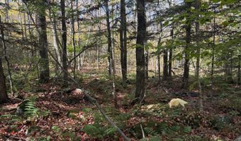 Rand Hill Road, Altona, NY 12910