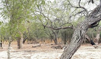 450 County Road 480, Alice, TX 78332