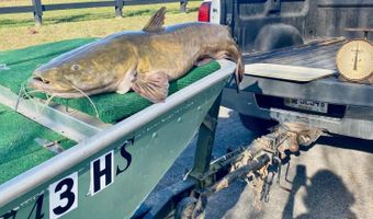 233 River Rd, Beattyville, KY 41311