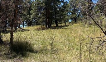 Spanish Peaks Dr, Aguilar, CO 81020