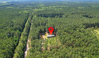 8144 Autumn Mist Ln, Adams Run, SC 29426