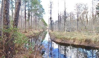 123 Westover Dr, Adel, GA 31620
