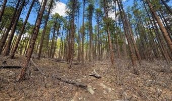 249 Timber Dr, Bayfield, CO 81122