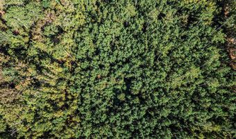 TBD State Rd 121, Alachua, FL 32615