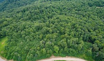 Pheasant Chase lot 3812 81 T, Ararat, VA 24053