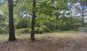 134 Seldom Seen Cv, Braxton, MS 39044