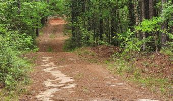 301 C1, Brooklyn, MS 39425