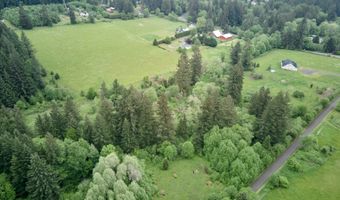 NE 389th St, Amboy, WA 98601