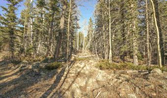 1004 And 1005 El Camino Real, Angel Fire, NM 87710